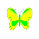 yellow butterfly graphics