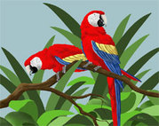 macaw art